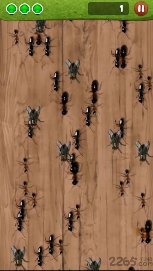 蚂蚁捣蛋游戏 最新版《蚂蚁捣蛋》下载