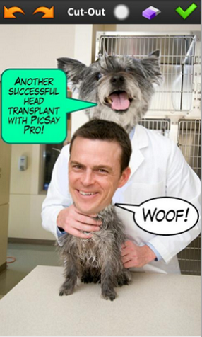 picsaypro完美汉化版