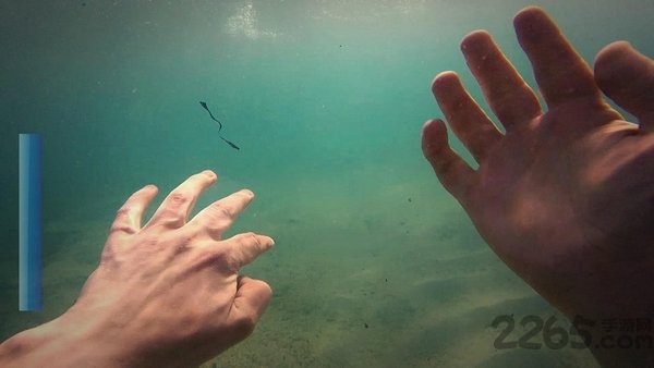 紫罗兰色调游戏