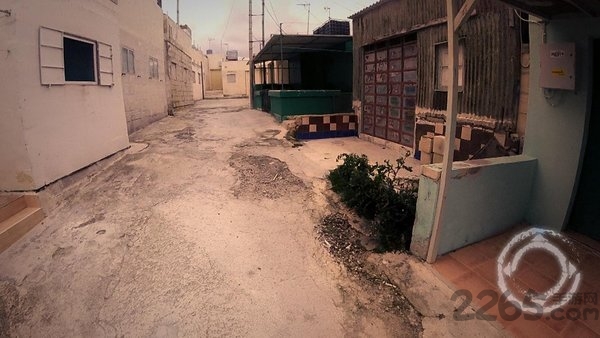 紫罗兰色调游戏