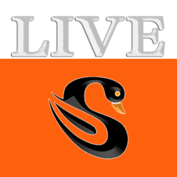 神仙电视tv版(神仙直播)