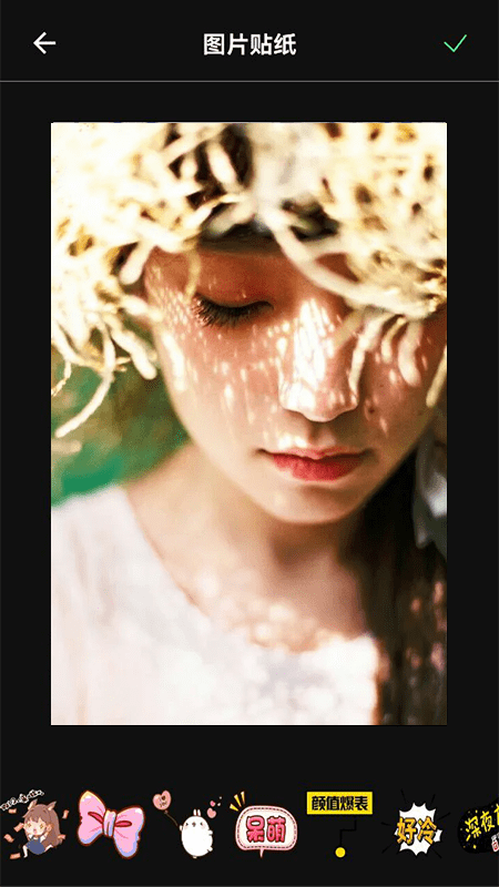 洋洋编辑器软件