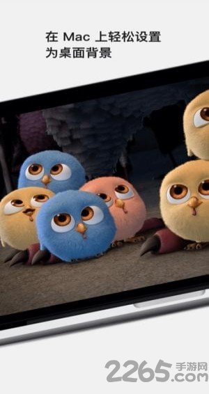 Movy高清壁纸客户端 Movy高清壁纸应用