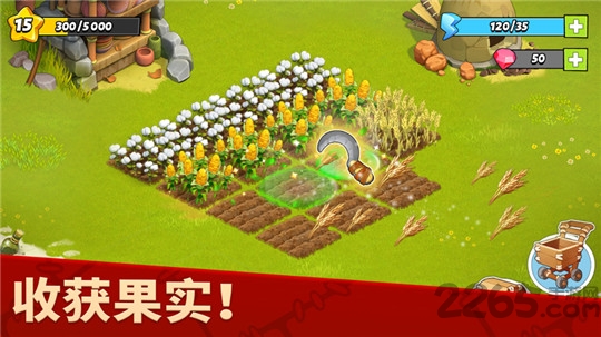 家庭岛2022最新破解版 家庭岛破解版2022下载