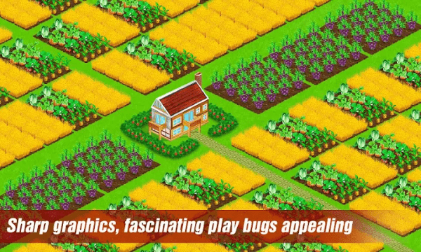 最佳农场游戏(best farm)