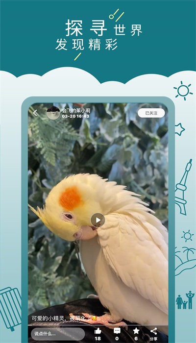 走来走趣最新版