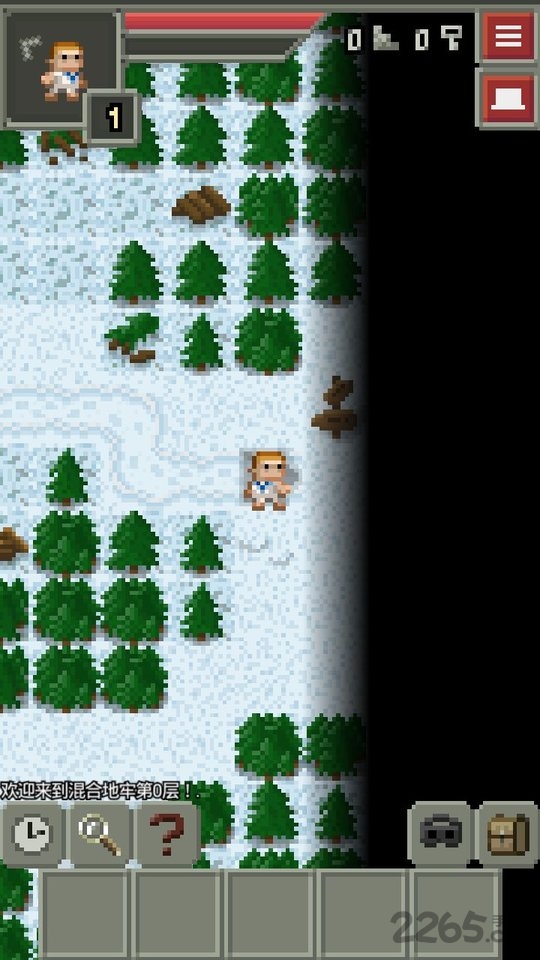 混血地牢无限金币版