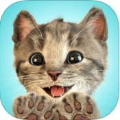 little kitten游戏