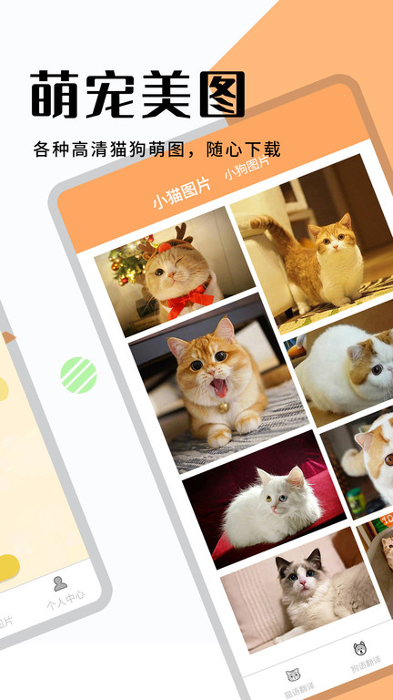 猫狗翻译器正版app