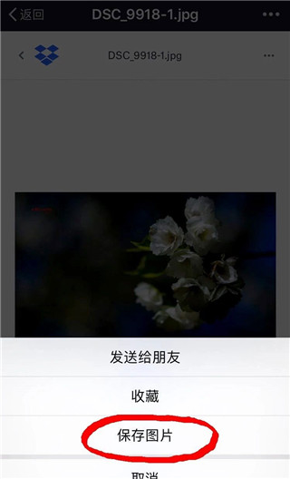 dropbox怎么下载保存图片 dropbox 保存图片教程