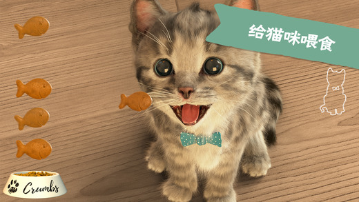 little kitten little kitten app下载