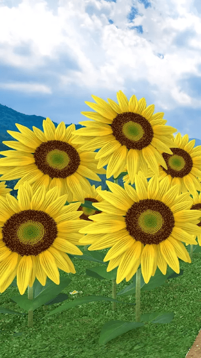 逃脱游戏盂兰盆节游戏(escape game obon)