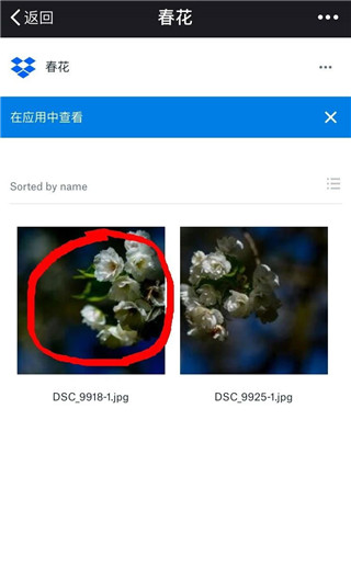 dropbox怎么下载保存图片 dropbox 保存图片教程