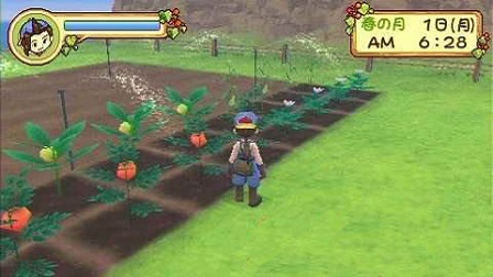 牧场物语蜜糖村与大家的心愿游戏