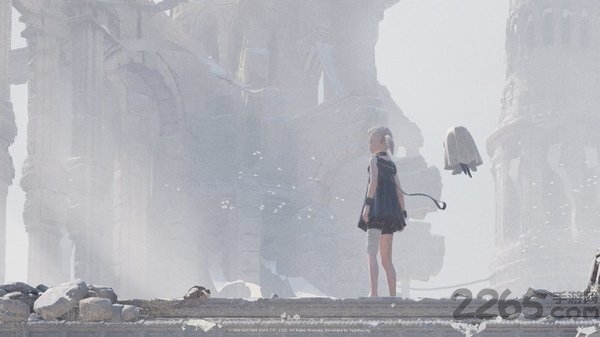 尼尔康乃馨手游中文版