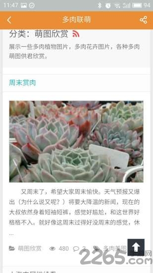 多肉联萌论坛 多肉联萌手机版下载