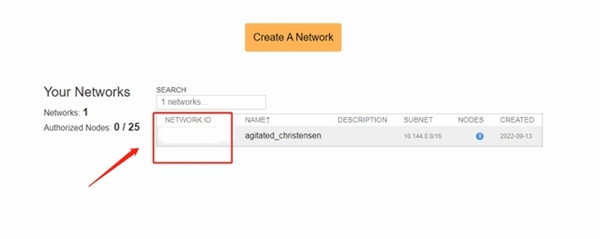 Zerotier One安卓版使用教程